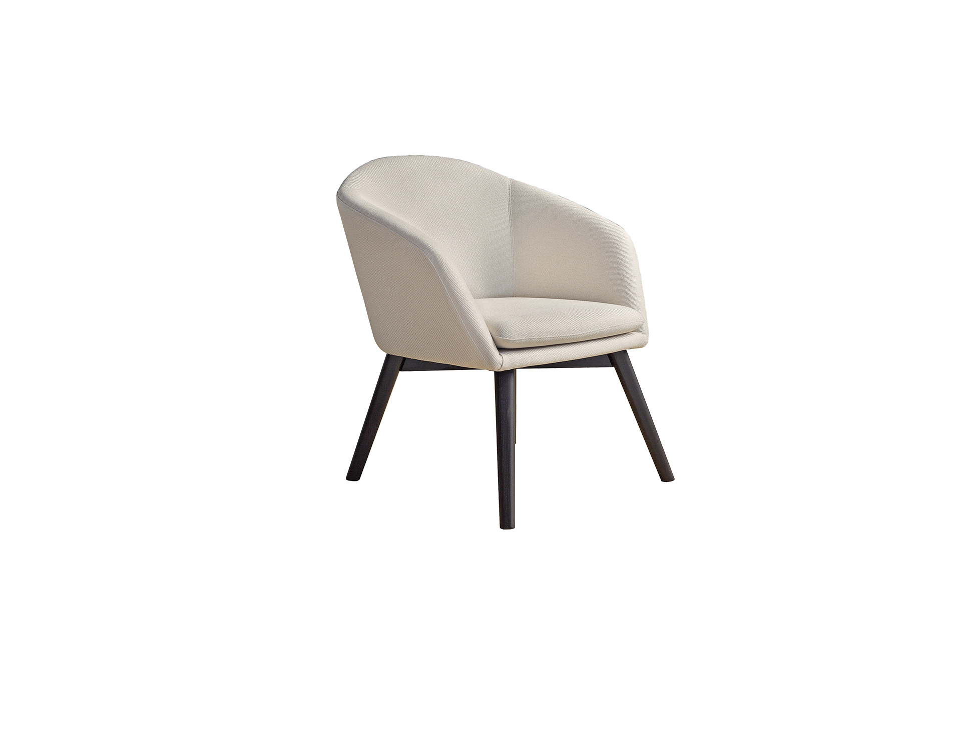 Dining Chair 21